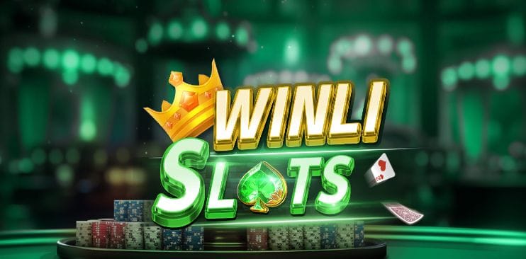 Winli Slots Game
